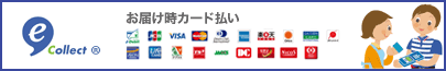 佐川急便e-collectお届け時カード払い